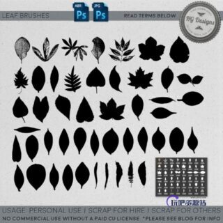 各种树叶、叶子的剪影图形Photoshop笔刷下载-玩吧资源站