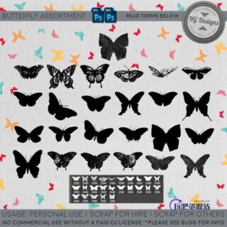 漂亮的蝴蝶花纹剪影图形素材ps笔刷下载-玩吧资源站