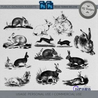 可爱兔子图像Photoshop笔刷下载-玩吧资源站