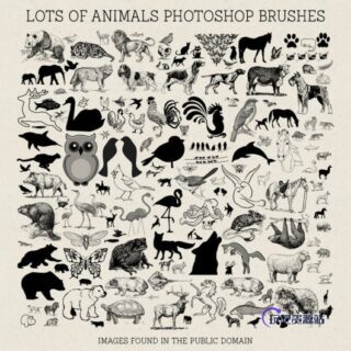 可爱卡通动物百科图案PS笔刷素材下载-玩吧资源站