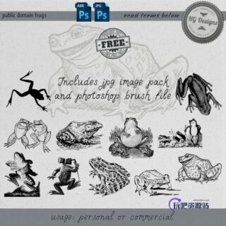 手绘素描式青蛙、癞蛤蟆等图形PS笔刷下载-玩吧资源站