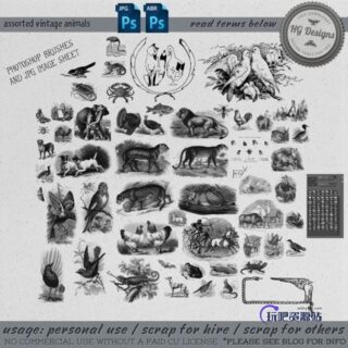 各种动物造型背景素材PS笔刷下载-玩吧资源站