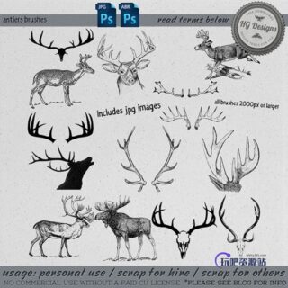 麋鹿、鹿角、梅花鹿PS笔刷素材-玩吧资源站