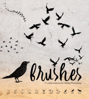 飞翔的乌鸦鸟类剪影图形Photoshop笔刷素材下载-玩吧资源站