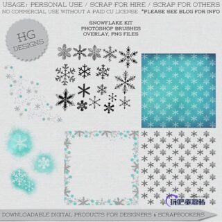 漂亮的雪花印记花纹图案Photoshop笔刷素材下载-玩吧资源站