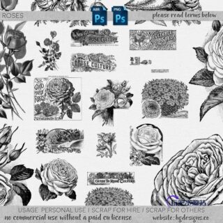 复古式手绘花朵、艳丽盛开的鲜花图案Photoshop花朵笔刷-玩吧资源站