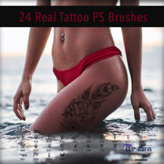24种性感的非主流欧式纹身、纹饰图案Photoshop笔刷下载-玩吧资源站