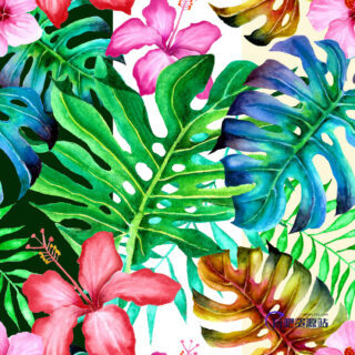 鲜艳的鲜花、叶子背景花纹图形Photoshop填充图案底纹素材 Patterns 下载-玩吧资源站