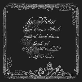 12种手绘边框花纹、优美的印花图案Photoshop笔刷素材下载-玩吧资源站