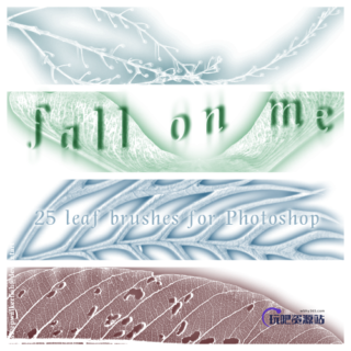 25种叶子造型、树叶图案Photoshop笔刷素材下载-玩吧资源站