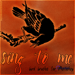 14种版刻鸟造型图案PS笔刷下载-玩吧资源站