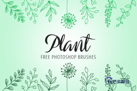 漂亮的手绘植物线条花纹图案Photoshop笔刷素材下载-玩吧资源站