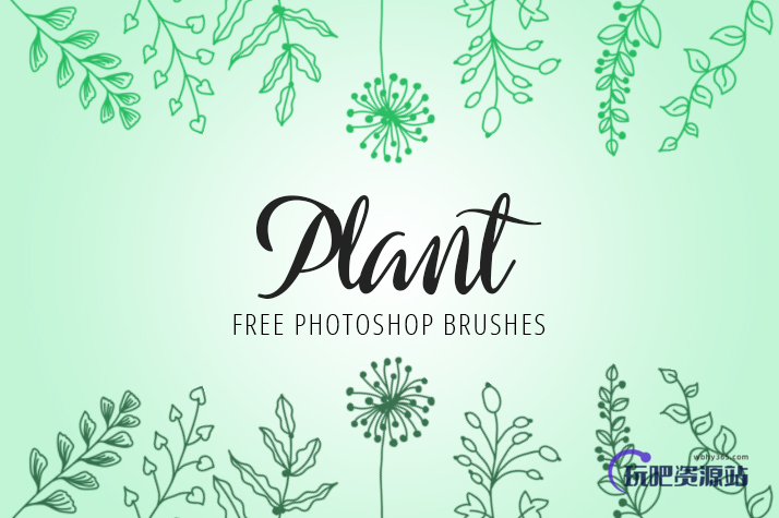 漂亮的手绘植物线条花纹图案Photoshop笔刷素材下载