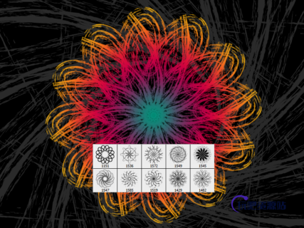 泼溅风格的分形花纹图案PS笔刷素材下载-玩吧资源站