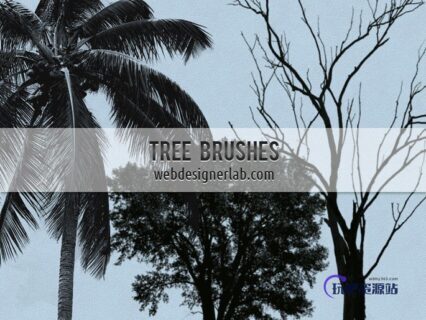 大树、树木造影、椰子树图形PS笔刷下载-玩吧资源站