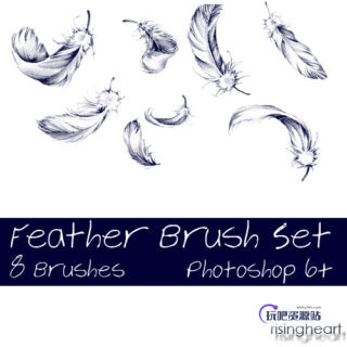 8种羽毛飘落效果PS笔刷素材下载-玩吧资源站