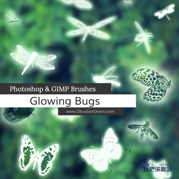 昆虫图案、蚊子、蜻蜓、蝴蝶、蜜蜂PS笔刷素材下载