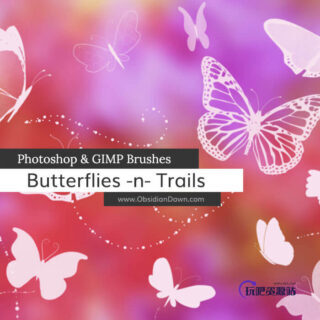 漂亮的蝴蝶印花图案PS笔刷素材下载-玩吧资源站