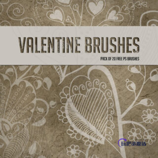 漂亮的手绘艺术爱心花纹图案PS情人节爱心笔刷素材-玩吧资源站