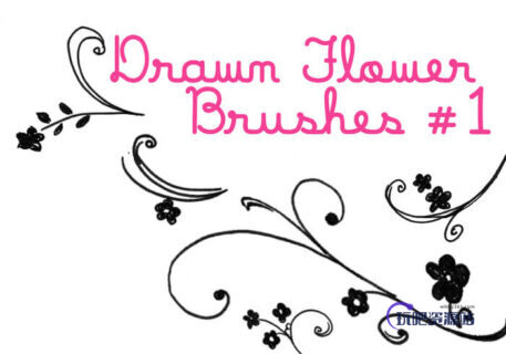 简单的艺术手绘花纹图案Photoshop印花素材笔刷-玩吧资源站