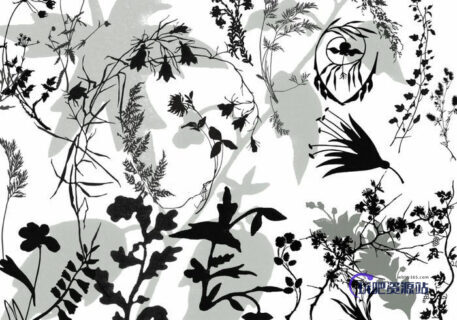 植物树枝剪影造型图案Photoshop笔刷素材下载-玩吧资源站