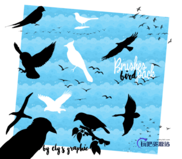 飞鸟、鸟群剪影图形PS笔刷素材下载-玩吧资源站