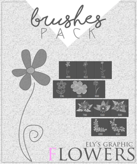 漂亮可爱的鲜花图案、花朵装饰PS笔刷素材下载-玩吧资源站