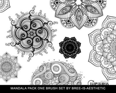 漂亮精美的手绘艺术花纹图案Photoshop笔刷素材下载-玩吧资源站