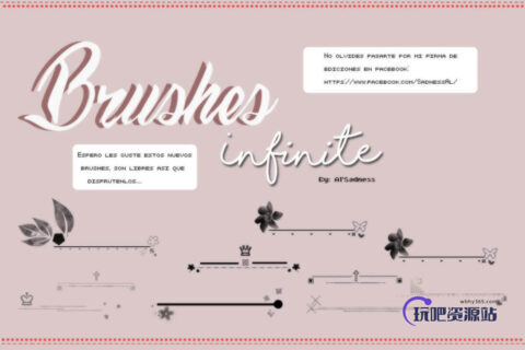 漂亮的花纹艺术边框、分界线图案Photoshop笔刷素材下载-玩吧资源站