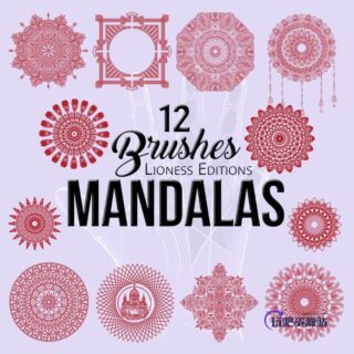 漂亮的12种曼荼罗风格式花纹印花图案Photoshop笔刷素材下载-玩吧资源站