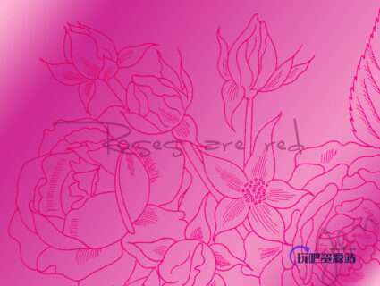 手绘线框式鲜花花朵图案Photoshop花纹笔刷素材-玩吧资源站