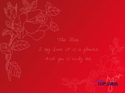 手绘玫瑰花线框花纹图案Photoshop笔刷素材下载-玩吧资源站