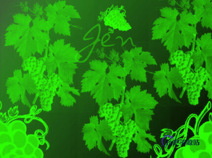 葡萄藤、植物藤蔓Photoshop笔刷素材下载-玩吧资源站