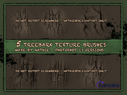 5种老树皮纹理效果Photoshop笔刷素材下载-玩吧资源站