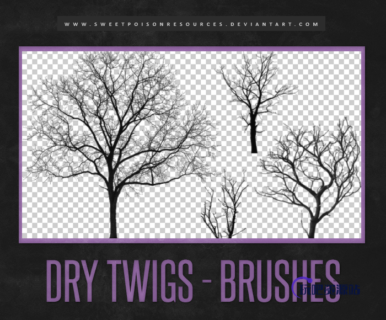 枯树、大树剪影图像PS笔刷素材下载-玩吧资源站