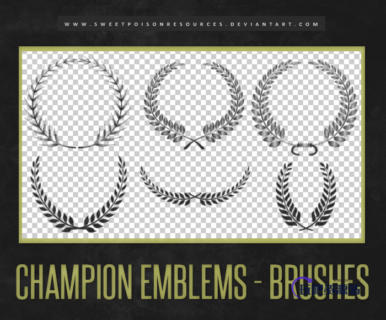 枝条、柳条桂冠效果图案Photoshop笔刷素材下载-玩吧资源站