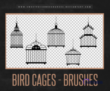 漂亮的鸟笼造型Photoshop装饰笔刷下载-玩吧资源站
