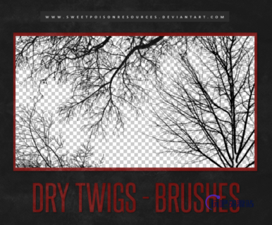 大树枝干、秋天的树荫、大树剪影图像Photoshop笔刷素材下载-玩吧资源站