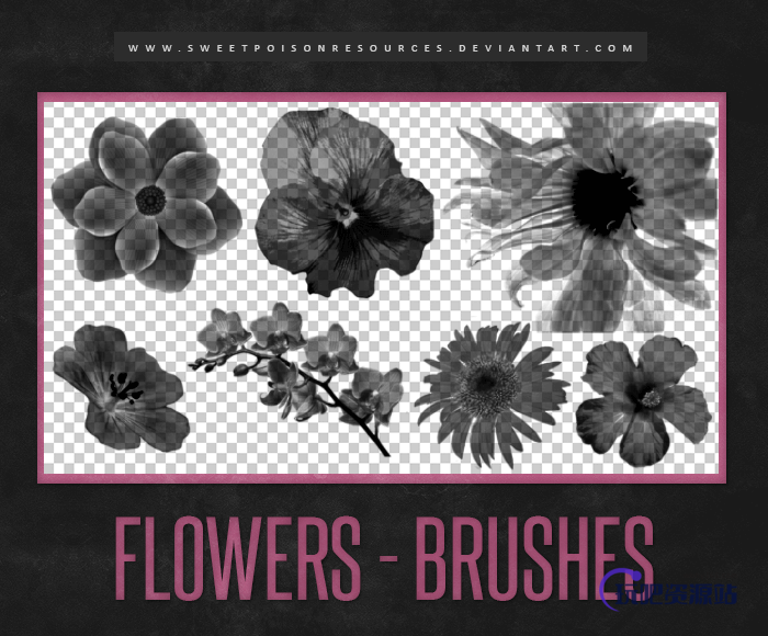真实的鲜花、花朵造影图案Photoshop笔刷素材下载