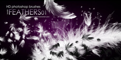 20种羽毛、羽毛飘落、飘散效果Photoshop笔刷素材下载-玩吧资源站