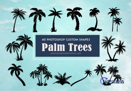 40种海边椰子树剪影图形photoshop自定义形状素材 .csh 下载-玩吧资源站