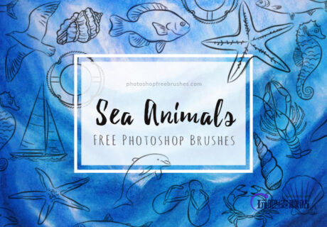 手绘卡哇伊海洋元素图案海鱼、海星、海鸥、海螺、海马、龙虾、贝壳、螃蟹、海豚、沙滩拖鞋、帆船、救生圈等PS笔刷下载-玩吧资源站