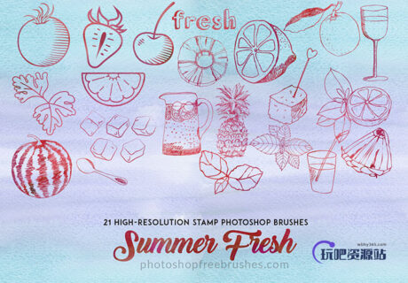 21种清爽夏日主题柠檬、草莓、番茄、樱桃、酒杯、饮料、西瓜、菠萝、冰块、树叶等手绘PS笔刷素材-玩吧资源站