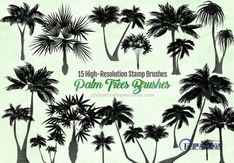 15种海边椰子树、棕榈树PS笔刷素材下载-玩吧资源站