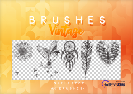 向日葵、蜂鸟、羽毛挂饰、非主流心形图案等Photoshop装饰图案笔刷-玩吧资源站