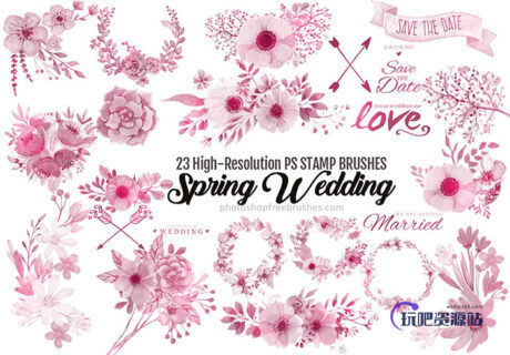 23种盛开的鲜花图案Photoshop花朵笔刷素材下载-玩吧资源站