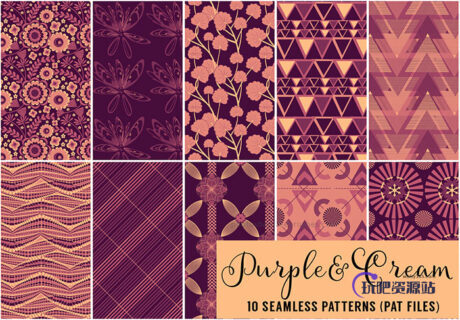 10种神秘复古式紫色调花纹艺术Photoshop自定义填充素材笔刷下载-玩吧资源站