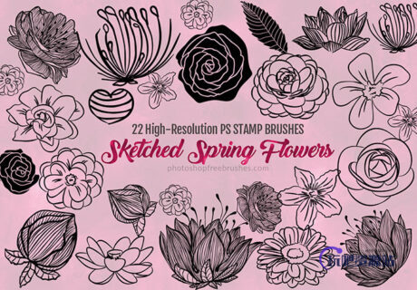 22种漂亮的手绘鲜花花朵图案、春季鲜花花纹Photoshop笔刷下载-玩吧资源站