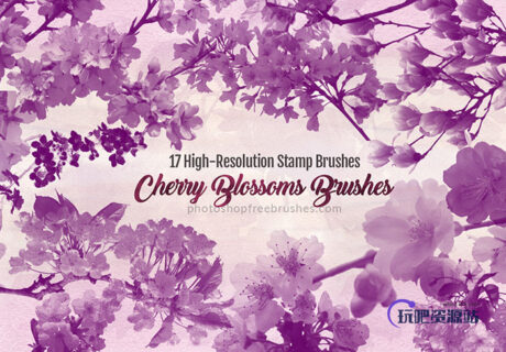 17种樱花节、樱花树浪漫樱花Photoshop花朵笔刷素材-玩吧资源站