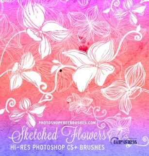 20种免费的手绘鲜花花朵图案Photoshop花纹笔刷下载-玩吧资源站